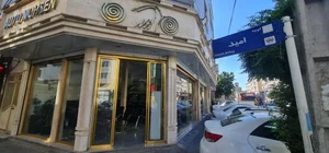 اتو محسن 3