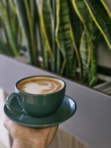 Cafe vision کافه ویژن