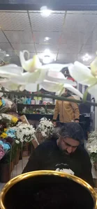 گل ارکید‌ه 4