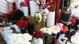 گلسرای لیا 2