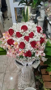 گلسرای آروشا
