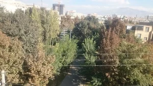بوستان امیر