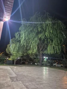 پارک مسافر زنجان 5