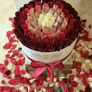 گلسرای سفیر سبز