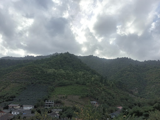 کشلی