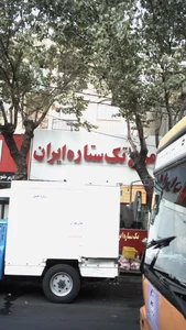 مرغ تک ستاره ایران