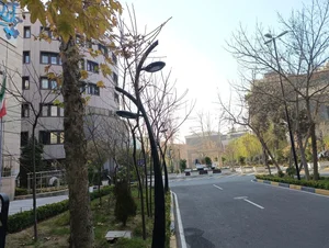 شرکت کشتیرانی جنوب-خط ایران 4