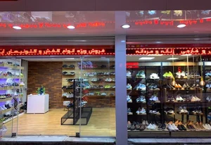 361plus shoes