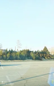 باغ وحش ارم 2