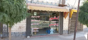شرکت اسانسور پردیس