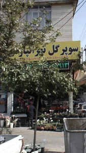 سوپر گل تهرانپارس 3