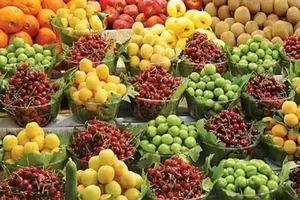 تره بار شیخ زاده