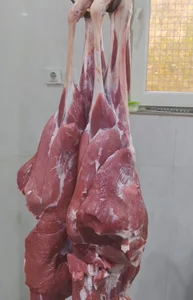 قصابی زنگنه 2