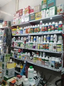 مراغه خیابان کاشانی