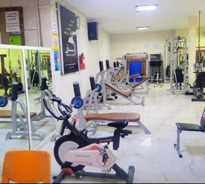 باشگاه ورزشی دلفین سفید 2
