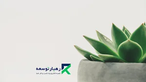شرکت فناوری اطلاعات رهیار توسعه
