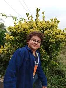 AMIR ARAD