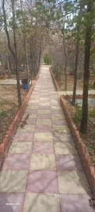 بوستان بیمارستان امیر المومنین 3