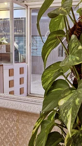 گالری طلای پوریا