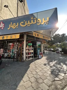 پروتئین بهار 2