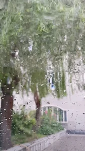 دکتر هادیزاده