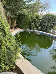 خانه باغ دیار