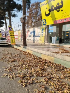املاک صنعتی بهمن