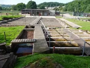 Trout farms استخر پرورش قزل الا