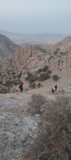 کول بسماره