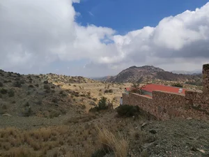 منتزهات Alshafa