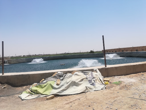 استخر پرورش ماهی فدک