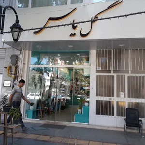 گل یاس