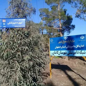 اداره دامپزشکی کاشان