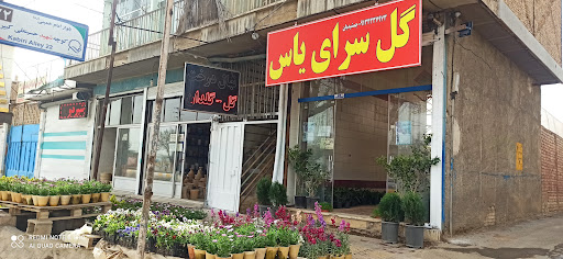 گلخانه گل و گیاه جمشیدیان
