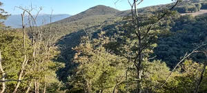 صحرایی‌مئزن‌گنجه