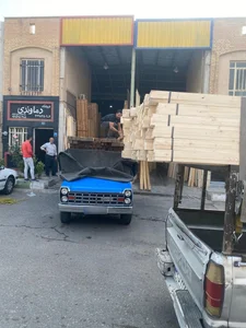 گروه صنعتی رویا