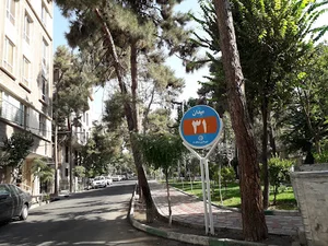 میدان ۳۱