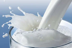 شرکت لبنی باراد