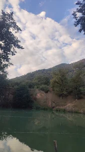 مسجد ولیعصر
