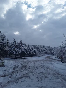 نمایندگی مهندس علی نژاد