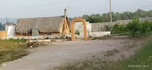 نارنجستان قدیمی خداکرم یزدان پرست