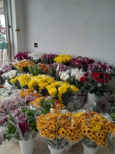 گلفروشی یزدان