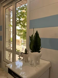 خدمات دندانپزشکی ودندانسازی دانشی 3