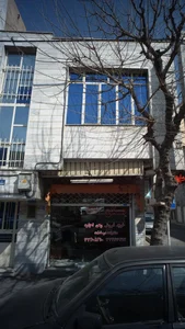 مسکن دانا 2