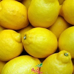 سبزیجات لیمو