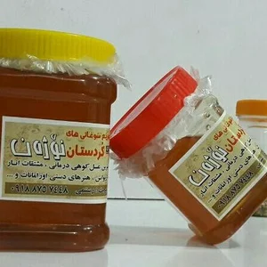 فروشگاه نوژ‌ه‌ن (نوژه ن)