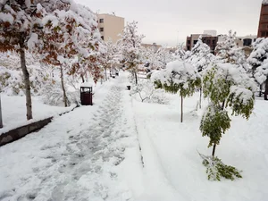 بوستان علامه