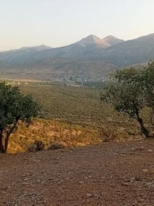 روستای علی آباد