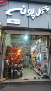 گل پونه 2