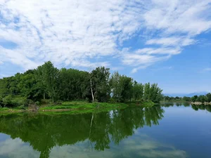 تالاب عینک